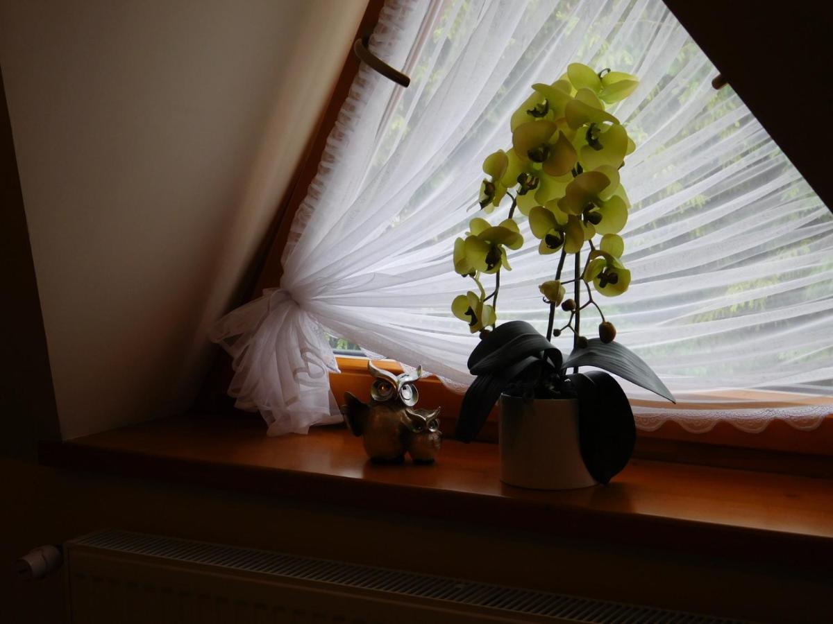 Apartament W Rowni 乔乔洛 外观 照片
